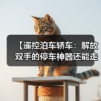 【遥控泊车轿车:解放双手的停车神器还能走多远?】(图3) 【遥控泊车轿车:解放双手的停车神器还能走多远?】(图3)