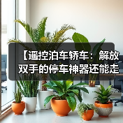 【遥控泊车轿车:解放双手的停车神器还能走多远?】(图2) 【遥控泊车轿车:解放双手的停车神器还能走多远?】(图2)