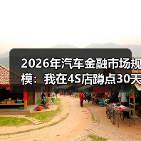 2026年汽车金融市场规模:我在4S店蹲点30天后的真实判断(图4) 2026年汽车金融市场规模:我在4S店蹲点30天后的真实判断(图4)