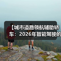 【城市道路领航辅助轿车:2026年智能驾驶的终极体验指南】(图4) 【城市道路领航辅助轿车:2026年智能驾驶的终极体验指南】(图4)