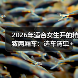 2026年适合女生开的精致两厢车：选车清单+避坑技巧一次讲透（图2）