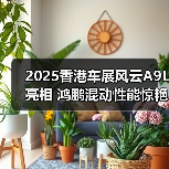 2025香港车展风云A9L亮相 鸿鹏混动性能惊艳全球(图2) 2025香港车展风云A9L亮相 鸿鹏混动性能惊艳全球(图2)