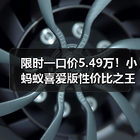 限时一口价5.49万!小蚂蚁喜爱版性价比之王(图2) 限时一口价5.49万!小蚂蚁喜爱版性价比之王(图2)