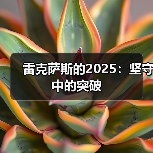 雷克萨斯的2025:坚守中的突破(图4) 雷克萨斯的2025:坚守中的突破(图4)