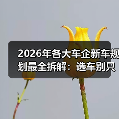 2026年各大车企新车规划最全拆解：选车别只看发布会（图2）