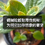 钢制轮毂耐用性揭秘:为何它比你想象的更坚韧不拔(图3) 钢制轮毂耐用性揭秘:为何它比你想象的更坚韧不拔(图3)