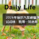 2026年最新汽车碰撞测试成绩：我用一场追尾事故换来的选车底线