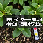 向新再出发——东风风神传递“智慧家享主流品牌”(图3) 向新再出发——东风风神传递“智慧家享主流品牌”(图3)