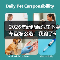2026年新能源汽车下乡车型怎么选:我跑了6个县,挑出最值的那一类(图4) 2026年新能源汽车下乡车型怎么选:我跑了6个县,挑出最值的那一类(图4)