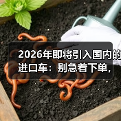 2026年即将引入国内的进口车：别急着下单，这6个信号更关键（图4）
