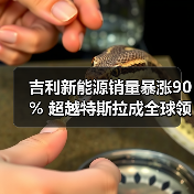 吉利新能源销量暴涨90% 超越特斯拉成全球领头羊（图4）