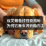 双叉臂悬挂性能揭秘：为何它是车界的隐形王者
