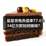 星星充电负债率77.6% 34亿欠款如何破局？（图4）