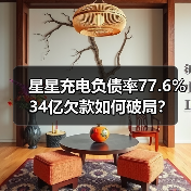星星充电负债率77.6% 34亿欠款如何破局？（图3）
