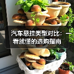 汽车悬挂类型对比：一看就懂的选购指南