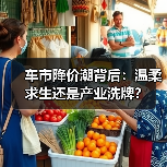 车市降价潮背后：温柔求生还是产业洗牌？（图3）