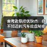 麦弗逊悬挂优缺点：你不知道的汽车底盘秘密