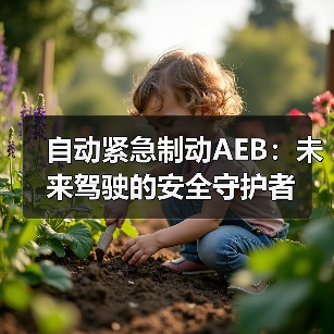 自动紧急制动AEB:未来驾驶的安全守护者(图4) 自动紧急制动AEB:未来驾驶的安全守护者(图4)