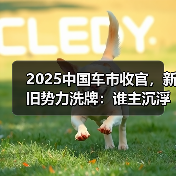 2025中国车市收官，新旧势力洗牌：谁主沉浮？