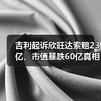 吉利起诉欣旺达索赔23亿，市值暴跌60亿真相曝光（图4）