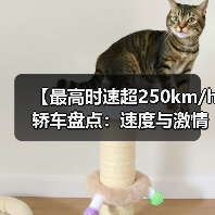 【最高时速超250km/h轿车盘点:速度与激情背后的真相】(图4) 【最高时速超250km/h轿车盘点:速度与激情背后的真相】(图4)