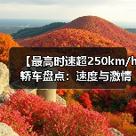【最高时速超250km/h轿车盘点:速度与激情背后的真相】(图3) 【最高时速超250km/h轿车盘点:速度与激情背后的真相】(图3)