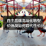 自主品牌高端化转型:价值战如何取代性价比?(图2) 自主品牌高端化转型:价值战如何取代性价比?(图2)