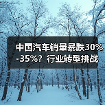 中国汽车销量暴跌30%-35%？行业转型挑战（图4）