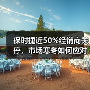 保时捷近50%经销商关停，市场寒冬如何应对？（图3）