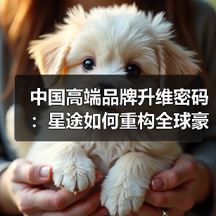 中国高端品牌升维密码：星途如何重构全球豪华标准