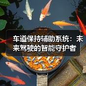 车道保持辅助系统:未来驾驶的智能守护者(图3) 车道保持辅助系统:未来驾驶的智能守护者(图3)