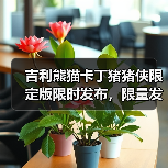 吉利熊猫卡丁猪猪侠限定版限时发布，限量发售揭秘设计亮点（图4）