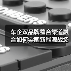 车企双品牌整合渠道融合如何突围新能源战场?(图2) 车企双品牌整合渠道融合如何突围新能源战场?(图2)