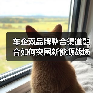 车企双品牌整合渠道融合如何突围新能源战场？