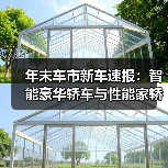 年末车市新车速报：智能豪华轿车与性能家轿领航