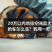 20万以内后排空间最大的车怎么选?我用一把卷尺测出了答案(2026最新)(图4) 20万以内后排空间最大的车怎么选?我用一把卷尺测出了答案(2026最新)(图4)