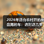 2026年适合农村开的底盘高的车：选对这几类，少修87%的底盘件（图4）