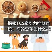揭秘TCS牵引力控制系统:你的爱车为什么能跑得更稳更快(图2) 揭秘TCS牵引力控制系统:你的爱车为什么能跑得更稳更快(图2)