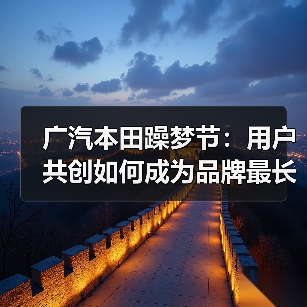 广汽本田躁梦节:用户共创如何成为品牌最长情告白(图4) 广汽本田躁梦节:用户共创如何成为品牌最长情告白(图4)