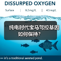 纯电时代宝马驾控基因如何保持？