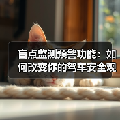 盲点监测预警功能:如何改变你的驾车安全观?(图2) 盲点监测预警功能:如何改变你的驾车安全观?(图2)