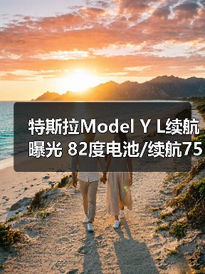 特斯拉Model Y L续航曝光 82度电池/续航751km(图3) 特斯拉Model Y L续航曝光 82度电池/续航751km(图3)