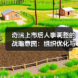 奇瑞上市后人事调整的战略意图：组织优化与多品牌布局（图4）