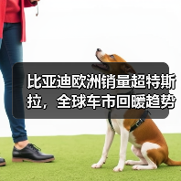 比亚迪欧洲销量超特斯拉，全球车市回暖趋势明显（图2）
