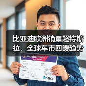 比亚迪欧洲销量超特斯拉，全球车市回暖趋势明显（图4）