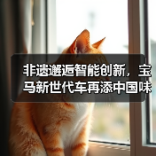 非遗邂逅智能创新，宝马新世代车再添中国味（图3）