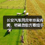 长安汽车回应年终奖传闻，明确激励方案细节（图2）