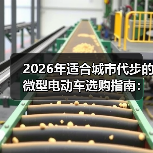 2026年适合城市代步的微型电动车选购指南：别买大车了，真不划算（图2）