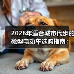 2026年适合城市代步的微型电动车选购指南：别买大车了，真不划算（图3）