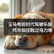 宝马电驱时代驾驶乐趣：精准操控胜过马力堆叠（图3）